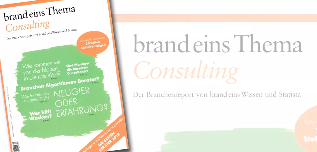 Brand eins Thema Consulting