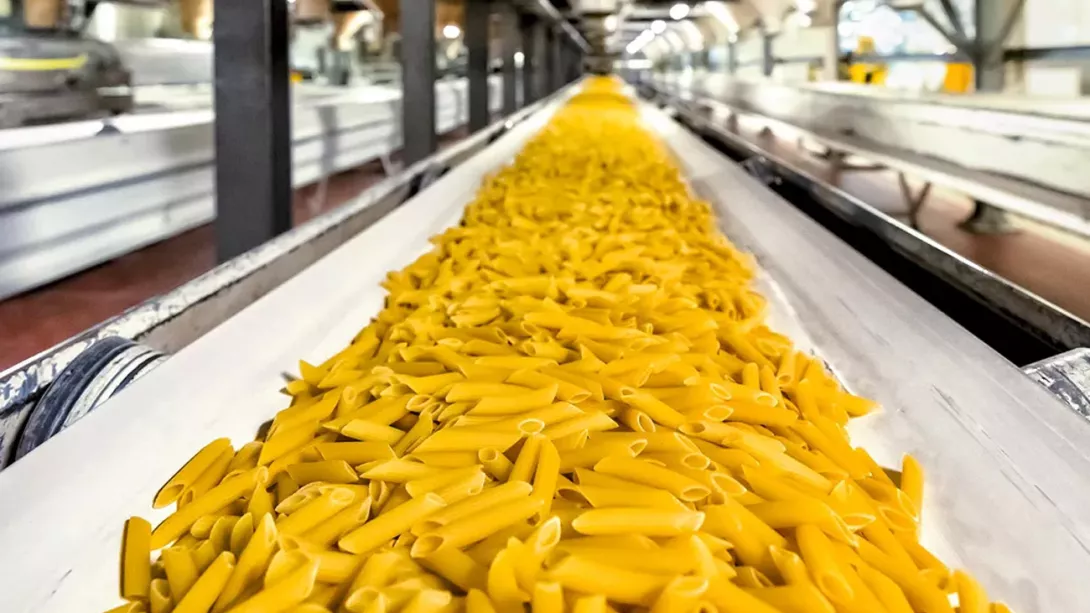 Pasta on a conveyor belt in a pasta factory 