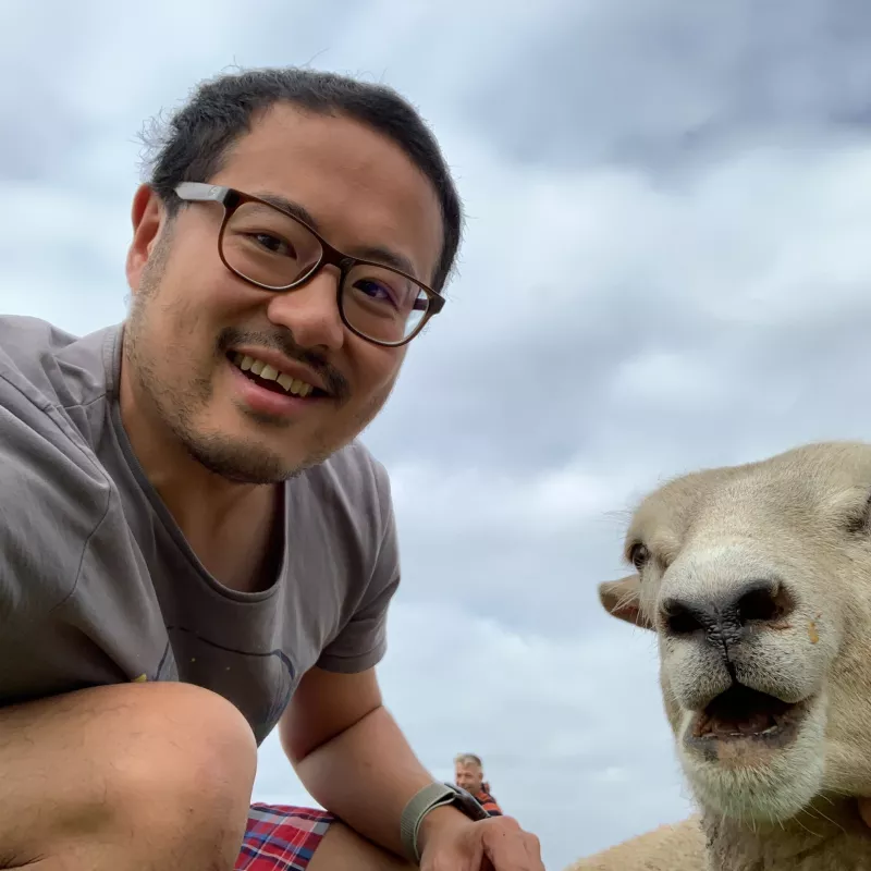 Kai Liu Experienced Professional IT Porsche Consulting