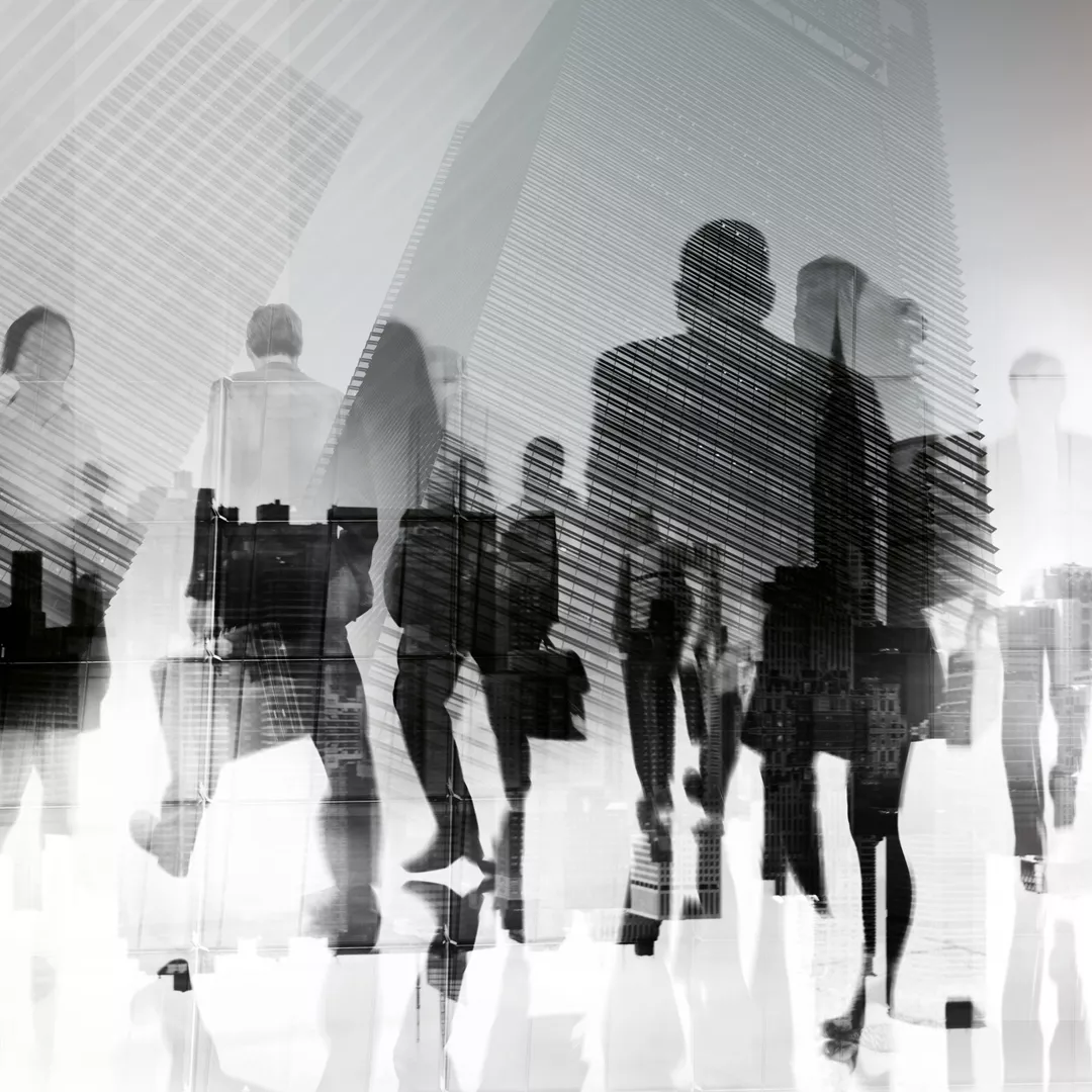 The high-​performance formula that focuses on people: Organizational excellence is a product of close ties between structure and culture.